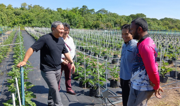 UMPSA Terima Kunjungan CEO Jonetsu Company Inc. Japan, Perkukuh Kerjasama Agrikultur Berimpak Sosial